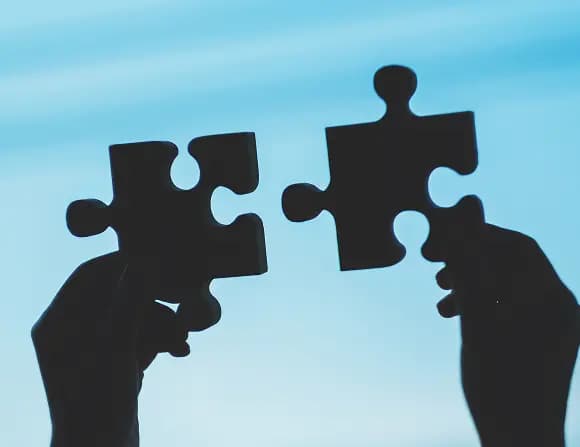 FAQ Puzzle Pieces